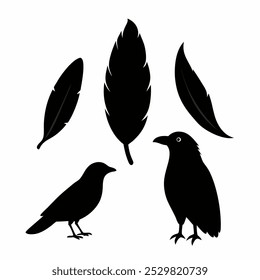 A stunning vector silhouette set featuring crows, ravens, birds, and feathers. Perfect for dark, spooky designs, nature themes, or decorative artwork in minimalist and gothic styles.