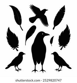 A stunning vector silhouette set featuring crows, ravens, birds, and feathers. Perfect for dark, spooky designs, nature themes, or decorative artwork in minimalist and gothic styles.