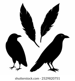 A stunning vector silhouette set featuring crows, ravens, birds, and feathers. Perfect for dark, spooky designs, nature themes, or decorative artwork in minimalist and gothic styles.