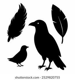 A stunning vector silhouette set featuring crows, ravens, birds, and feathers. Perfect for dark, spooky designs, nature themes, or decorative artwork in minimalist and gothic styles.