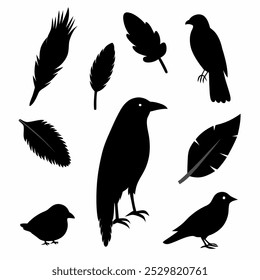 A stunning vector silhouette set featuring crows, ravens, birds, and feathers. Perfect for dark, spooky designs, nature themes, or decorative artwork in minimalist and gothic styles.