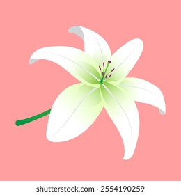 A stunning white lily flower with green accents on a soft pink background. This minimalist design is perfect for floral-themed projects, invitations, posters, and greeting cards.