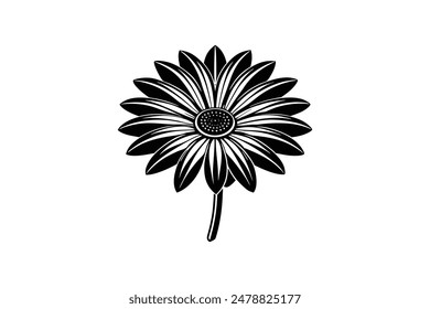 Stunningly crafted, this vector illustration showcases the exquisite beauty of an African Daisy with intricate detail and vibrant colors.