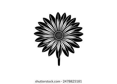 Stunningly crafted, this vector illustration showcases the exquisite beauty of an African Daisy with intricate detail and vibrant colors.