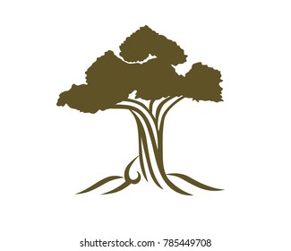 sturdy old tree illustration