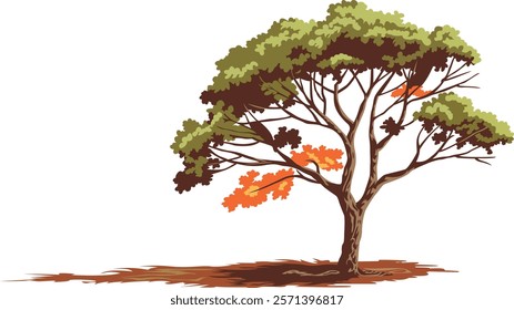 A sturdy tree with a broad canopy. The tree's foliage is a mix of vibrant green and fiery orange, indicating a transition between seasons.