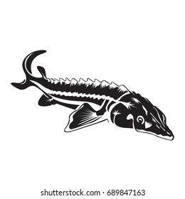 Sturgeon art
