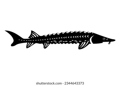 Sturgeon black icon. Fish isolated on white background. Vector illustration flat design. 
