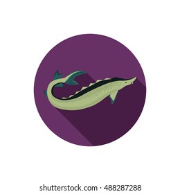 Sturgeon color flat icon