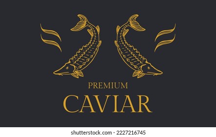 sturgeon fish or beluga caviar fish illustration for seafood logo, caviar logo and label or etc.