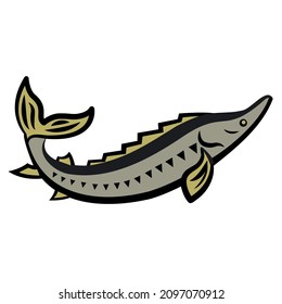 Sturgeon fish colorful sign and icon illustration