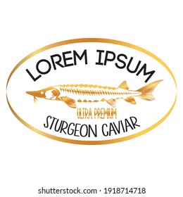 The Sturgeon Fish Concept Design