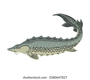 Sturgeon fish. Fishing, food and cooking. Fauna, wildlife and nature. Vector illustration isolated on white background