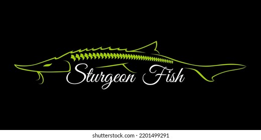 Sturgeon fish fishing logo on black dark background. modern vintage rustic logo design. great to use as your any fishing company logo and brand