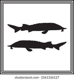 Sturgeon fish icon isolated vector, silhouette of ocean animal.