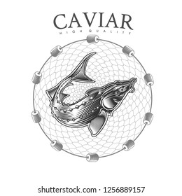 Sturgeon fish into round fishing nets on white. Logo for fish or caviar in engraving style 