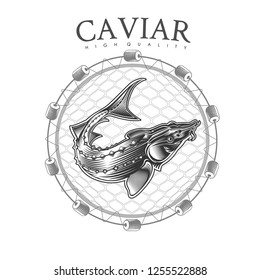 Sturgeon fish into round net engraving style. Logo for fish or caviar on white 