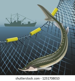 Sturgeon fish on the background of the marine nets and fishing ship. Sea landscape. Vector illustration