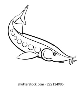 sturgeon fish outline vector illustration