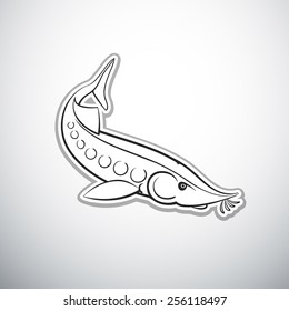 sturgeon fish outline vector illustration