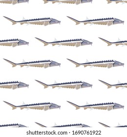 Sturgeon fish seamless patern on the white background. Vector illustration Sturgeon fish seamless patern on the white background. Vector illustration