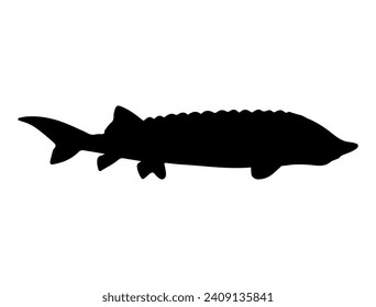 Sturgeon fish silhouette vector art white background