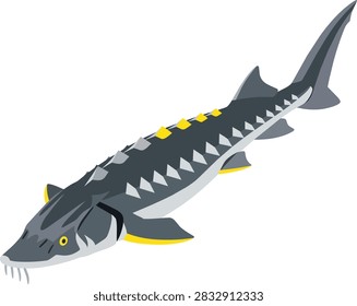 Sturgeon Fish Vector Illustration Isolated on White Background