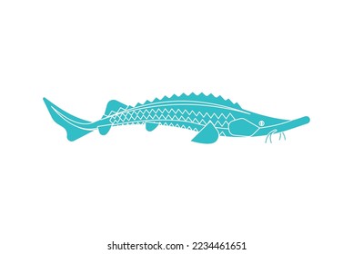 Sturgeon isolated icon. Fish sign. Vector illustration