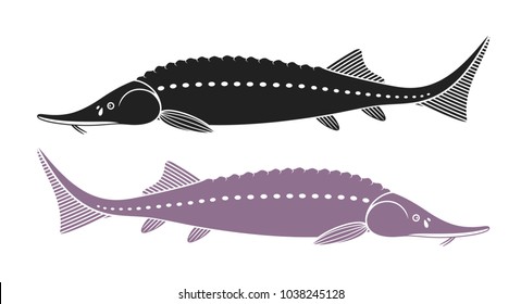 Sturgeon logo. Isolated sturgeon on white background



