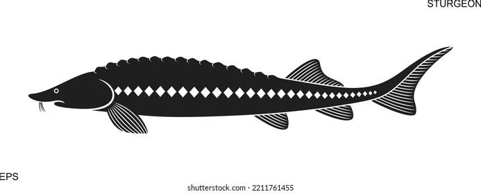 Sturgeon logo. Isolated sturgeon on white background