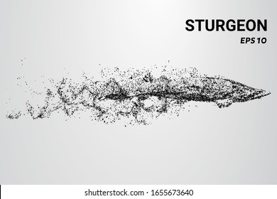 Sturgeon of the particles. Sturgeon consists of circles and dots. Sturgeon falls apart into molecules.