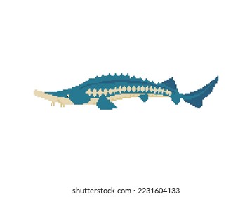 Sturgeon pixel art. 8 bit fish sign. pixelated vector illustration