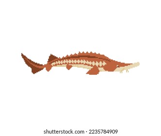 Sturgeon pixel art. 8 bit fish sign. pixelated vector illustration
