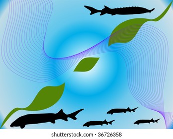 Sturgeon - Vector -Silhouette-blue