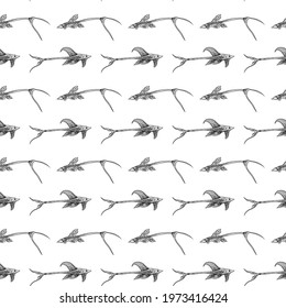 Sturisoma fish seamless pattern. Hand drawn vector fish. Sea, river or ocean fish. Design for fishing catch or fisher sport club. Fish market, menu seafood. Design template, banner