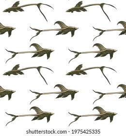 Sturisoma fish seamless pattern. Hand drawn vector fish. Sea, river or ocean fish. Design for fishing catch or fisher sport club. Fish market, menu seafood. Design template, banner