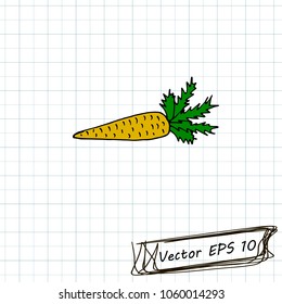 Style of children's drawing. Doodle drawing on a sheet of notebook. Carrot
