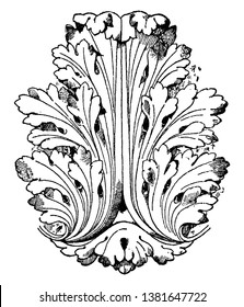 Style of Louis XVI Leaf has a general naturalistic style, vintage line drawing or engraving illustration.