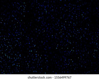 The style of the matrix. Chaotic, random blue letters and numbers. Programming, coding, hacker background. Future concept. Virtual money pattern. Futuristic internet communication. Matrix background.