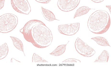 Estilo padrão rosa no fundo branco, papel de parede de alimentos. Desenho vintage corte limão esboço padrão. 