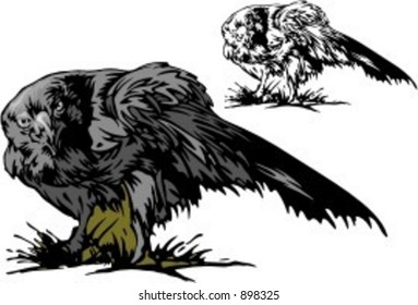 Styled and original vector illustration of an eagle. Very clean vectors