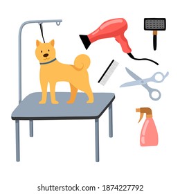 Estilismo y peluquería profesional en peluquería de mascotas. Mujer groomer cuidando el pelo del perro - secador. Ilustración vectorial al estilo de las caricaturas. Diseño para afiches, banner, volante, web. 