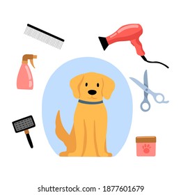 Styling and grooming professional barber in pet hair salon in cartoon style. Dog and tools - hairdryer, scissors, hairbrush, shampoo.  Design for poster, banner, flyer, web, mockup, business, company.