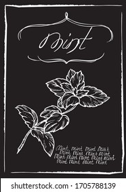 Stylised image of a mint branch