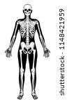 A stylised unisex human figure skeleton standing in silhouette