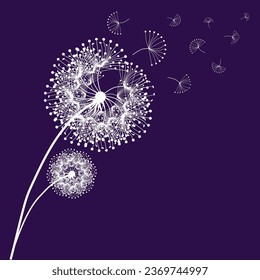 stylish abstraction unusual lace dandelions