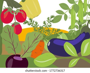Stylish background with the image of ripe vegetables. Juicy tomatoes, sweet peppers, bright beets and carrots. Royal eggplant, cheerful peas. Packaging and advertising of eco, bio farm products. 