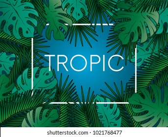 Stylish background with palm leaves. Beautiful concept design of a tropical poster, banner, cover or postcard. Vector illustration. Eps 10. Summer.