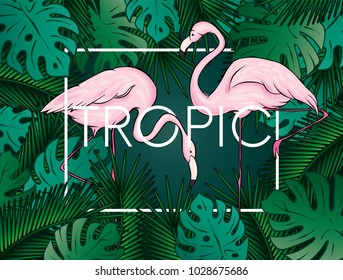 Stylish background with palm leaves. Beautiful concept design of a tropical poster, banner, cover or postcard. Vector illustration. Eps 10. Summer.