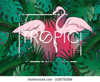 Stylish background with palm leaves. Beautiful concept design of a tropical poster, banner, cover or postcard. Vector illustration. Eps 10. Summer.